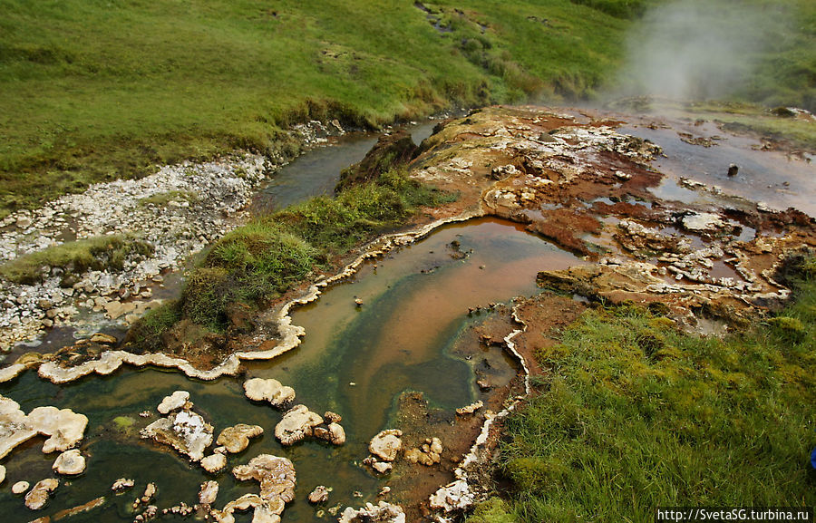 Долина горячих источников. Место, где обычно варят яйца Южная Исландия, Исландия