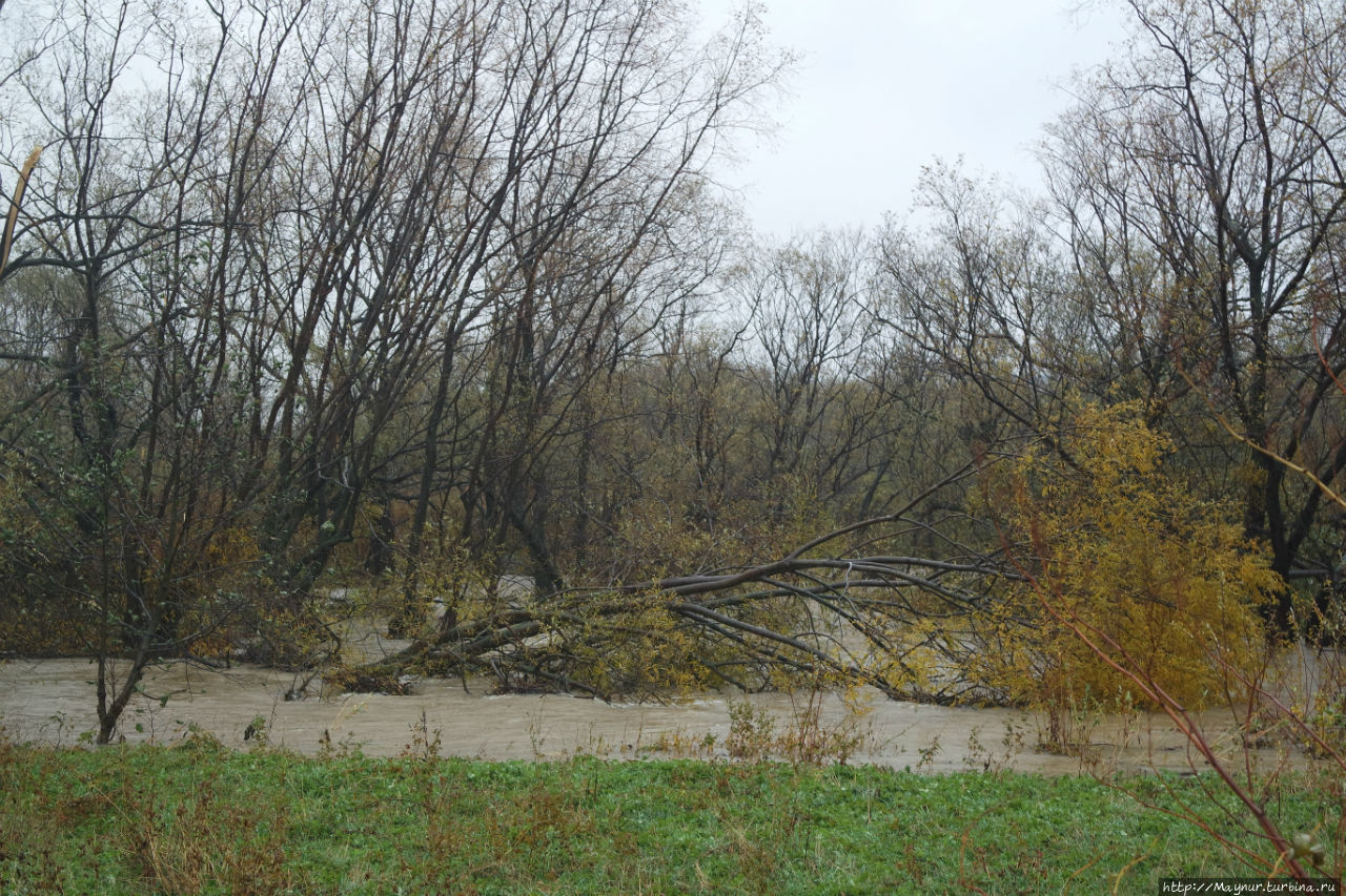 Удар! Еще удар.... Южно-Сахалинск, Россия