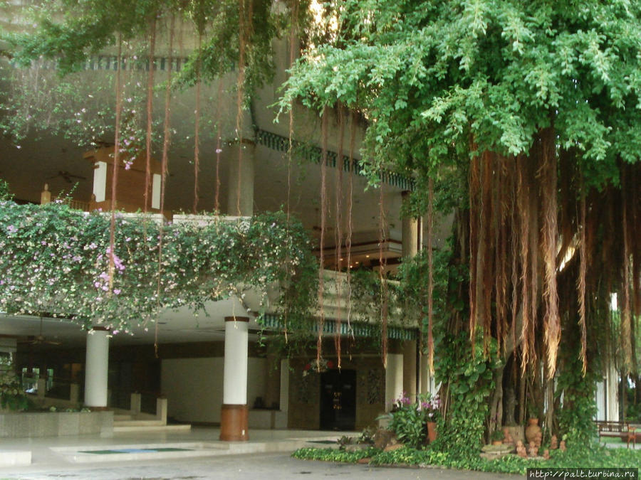Отель Монтьен, Паттайя Паттайя, Таиланд
