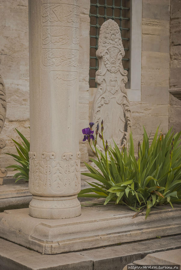 Мече́ть Сулеймание́ Стамбул, Турция