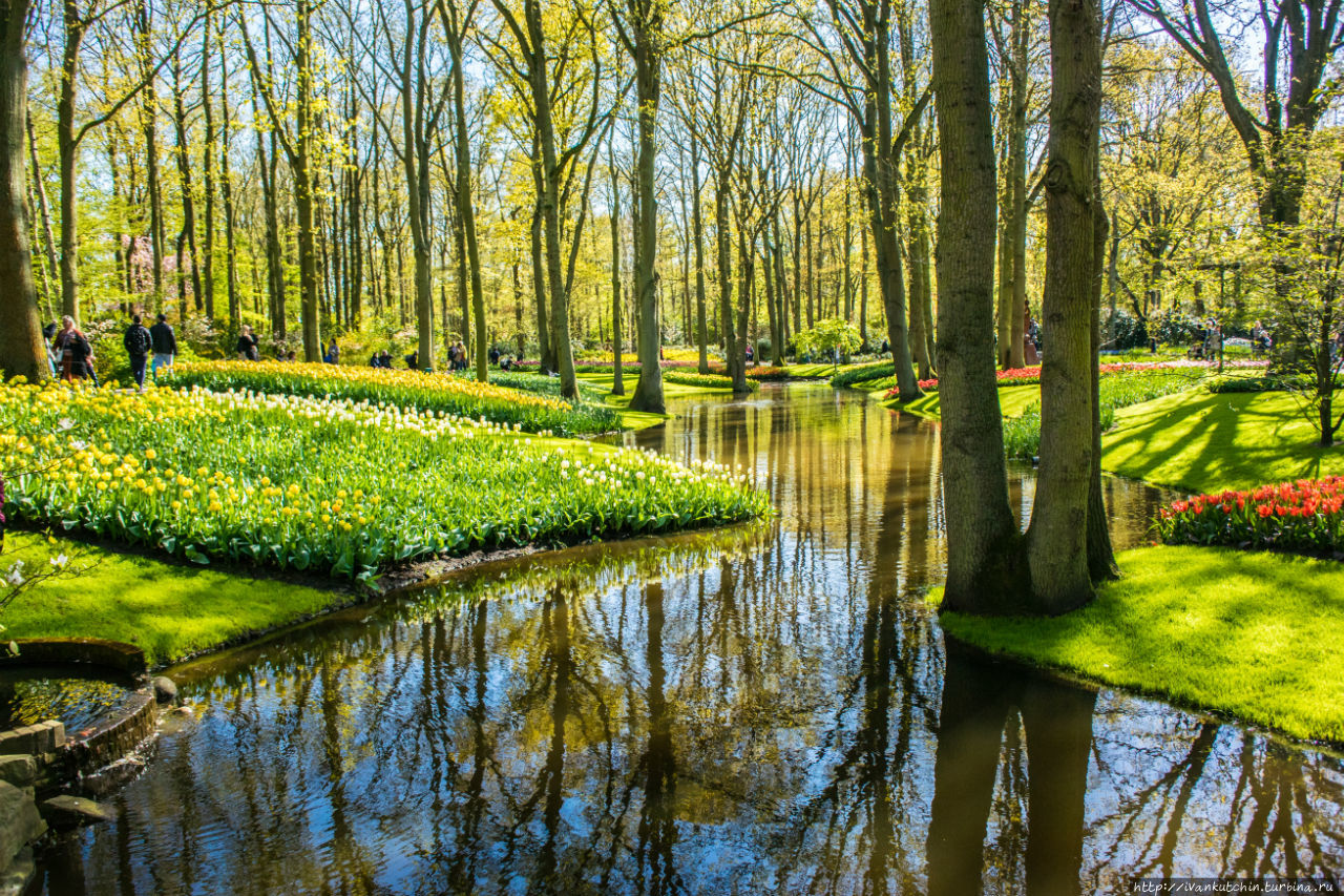 Буйство красок Кёкенхоф, Нидерланды