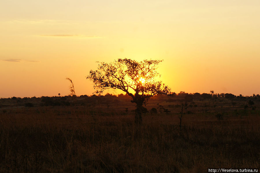 Танзания. Продолжение Танзания