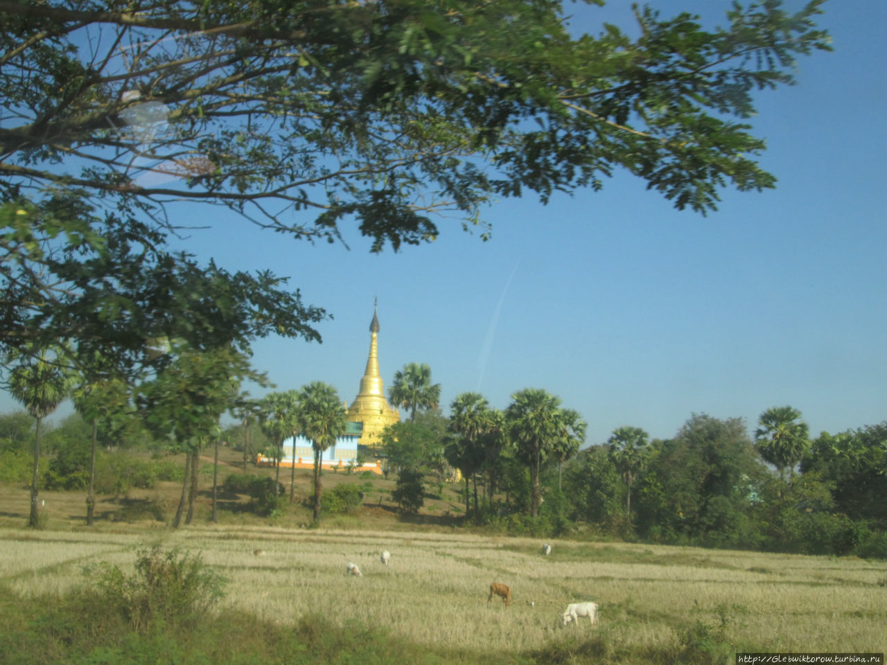 Поездка из Мьявадди в Паан Мьявадди, Мьянма