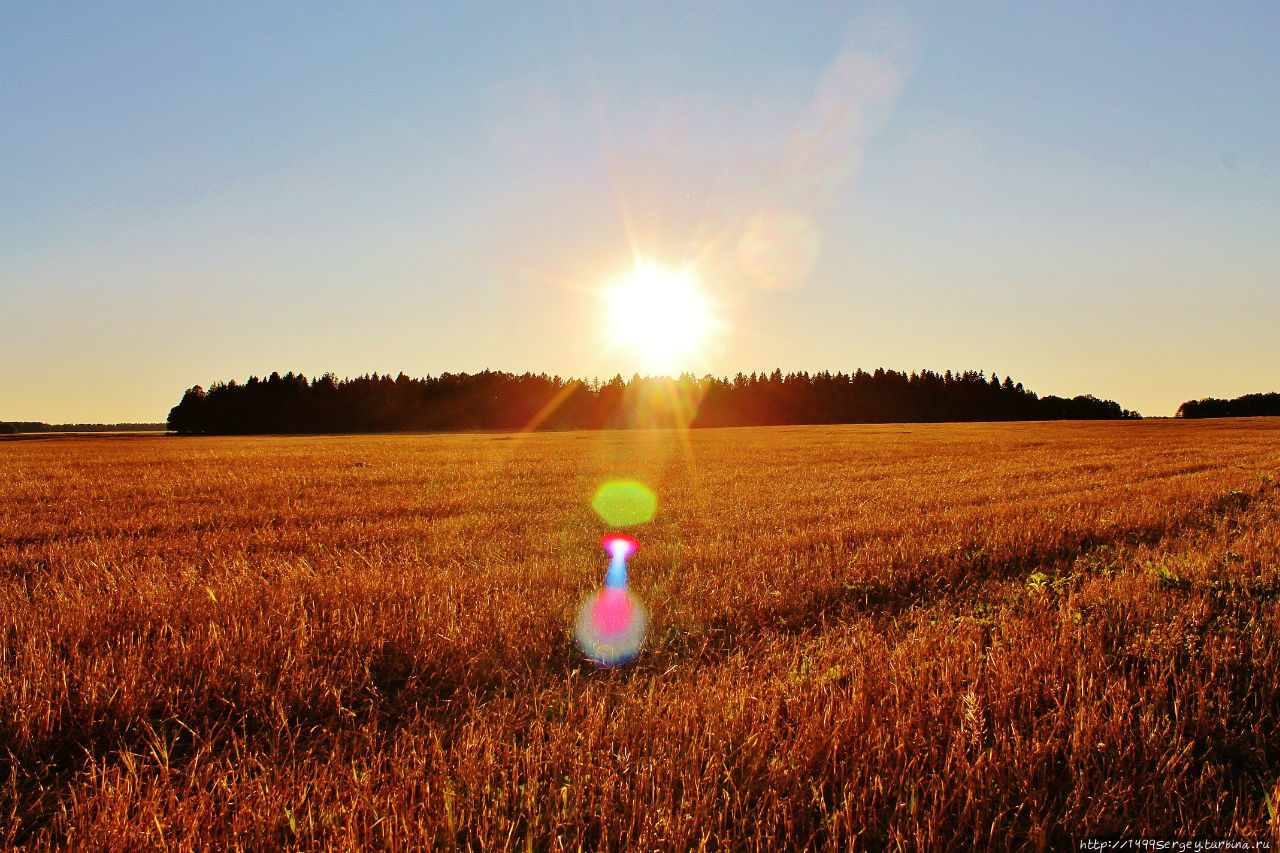 Воспоминания #3 Санкт-Петербург и Ленинградская область, Россия