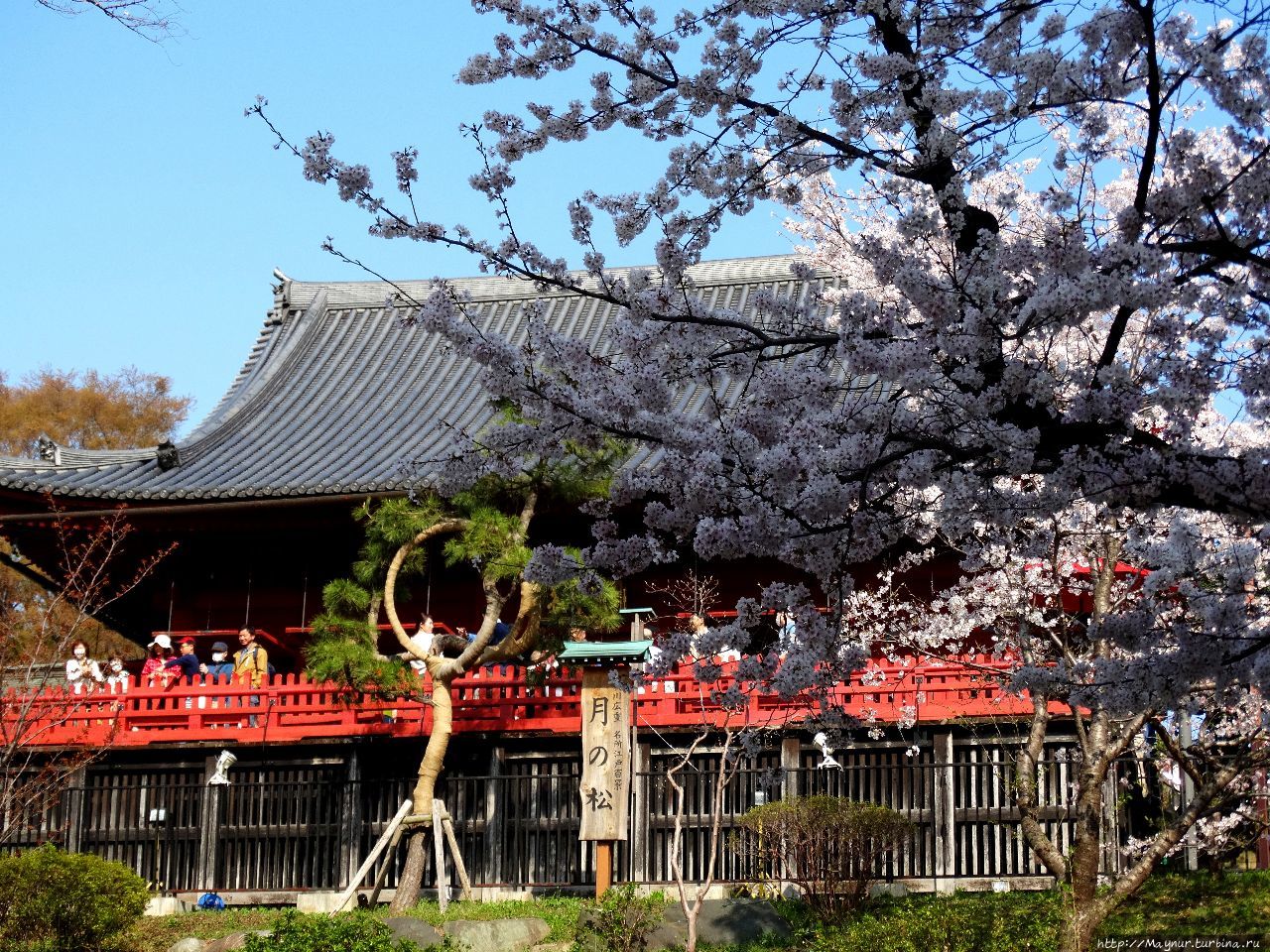 Tokyo park