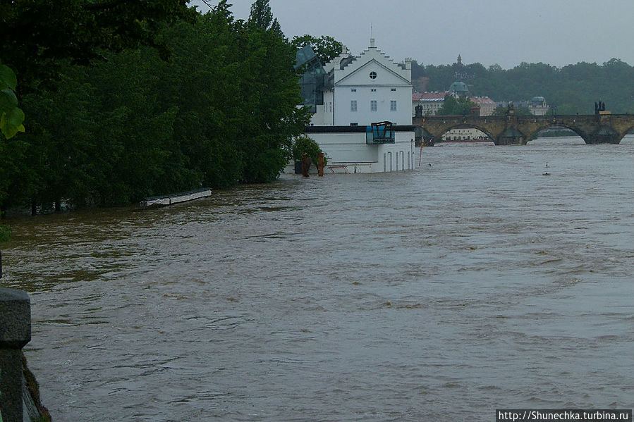 То же самое место трое суток спустя.