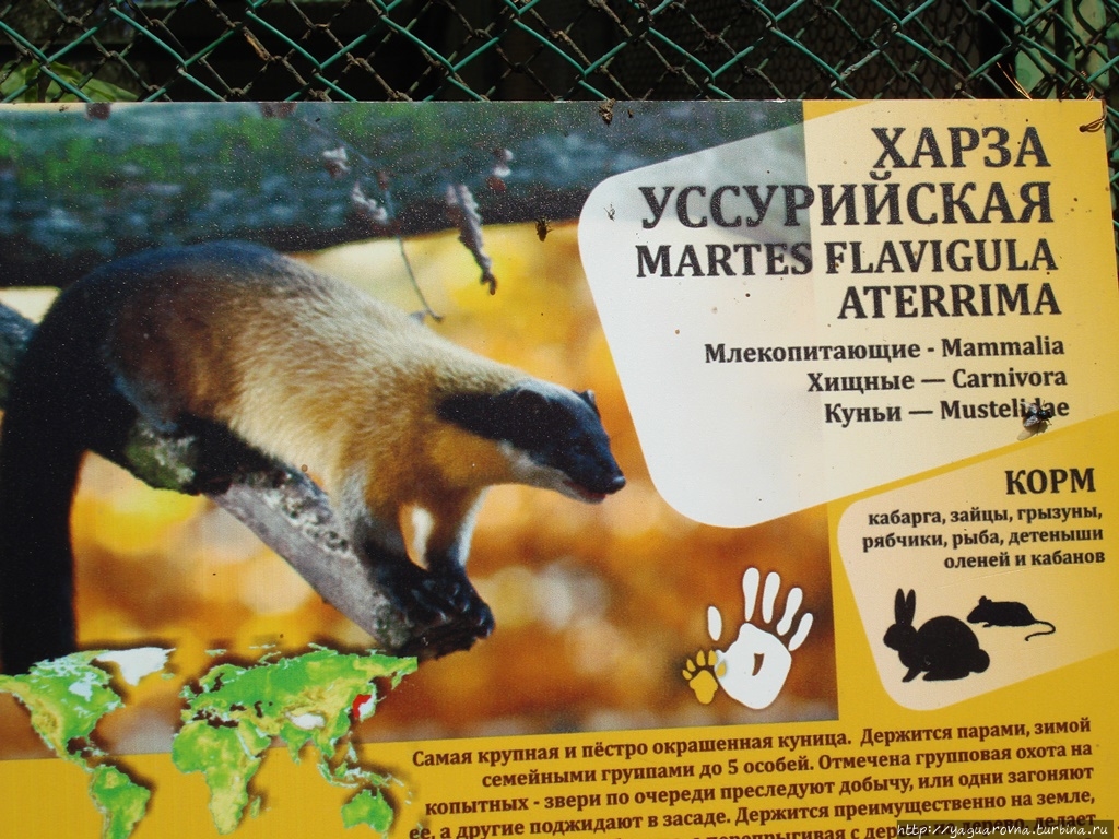 Зоопарк Пермь, Россия
