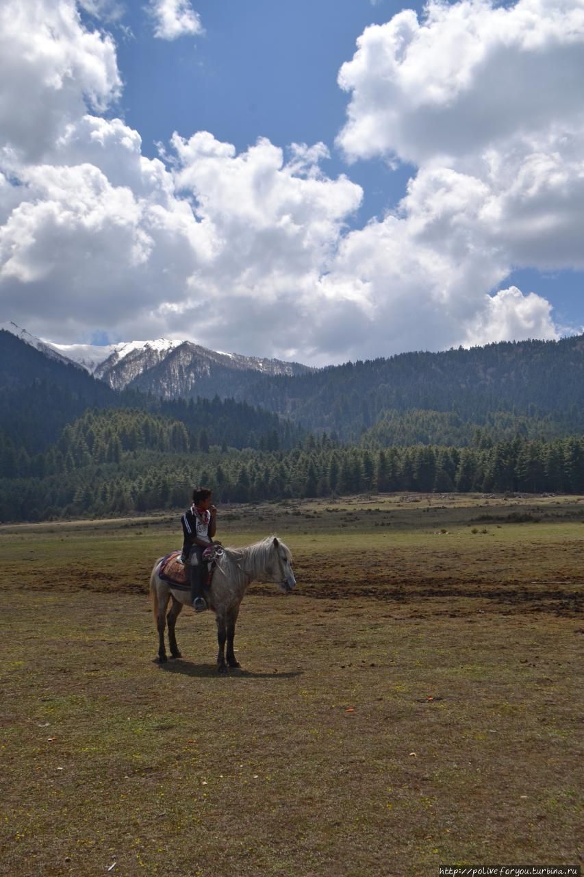 Мототрип Индия — Непал /ОЗЕРО РАРА/ День 41-й Озеро Рара Национальный Парк, Непал