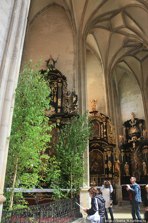 Внутри собора Святой Варвары Кутна-Гора, Чехия
