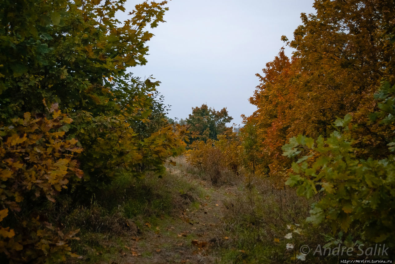 Красивая осень!!! Рига, Латвия