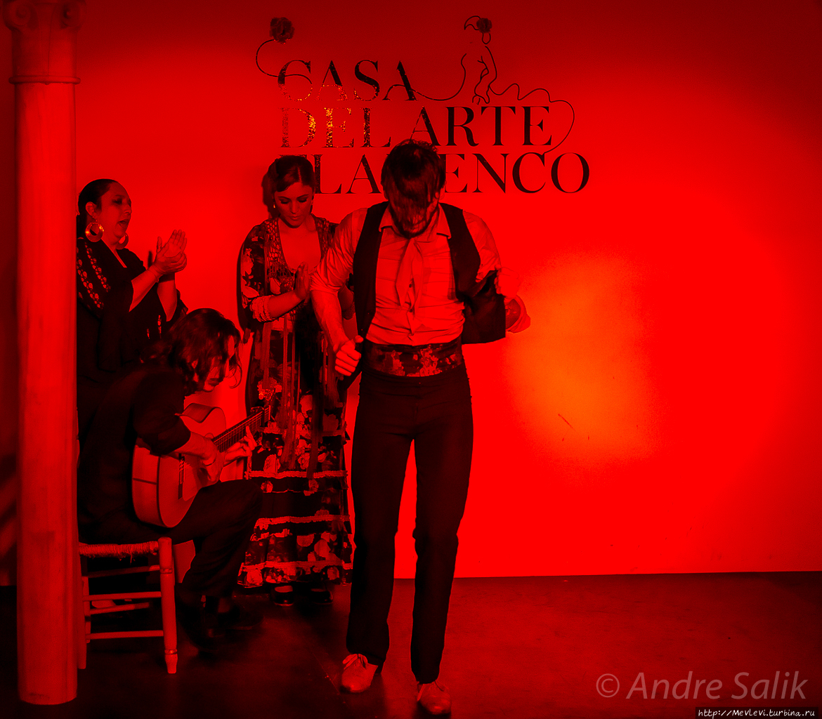 Casa del Arte Flamenco Гранада, Испания