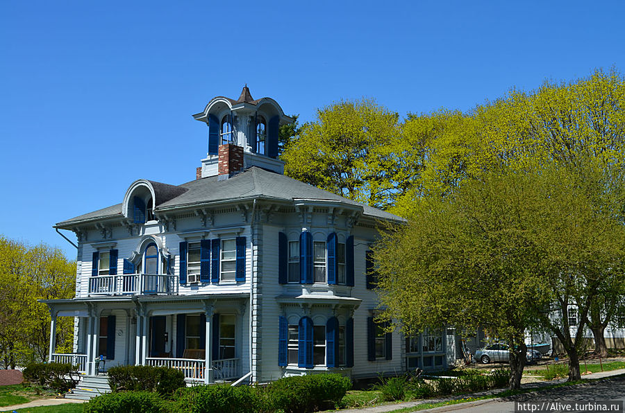 В окружении деревьев Ли, CША