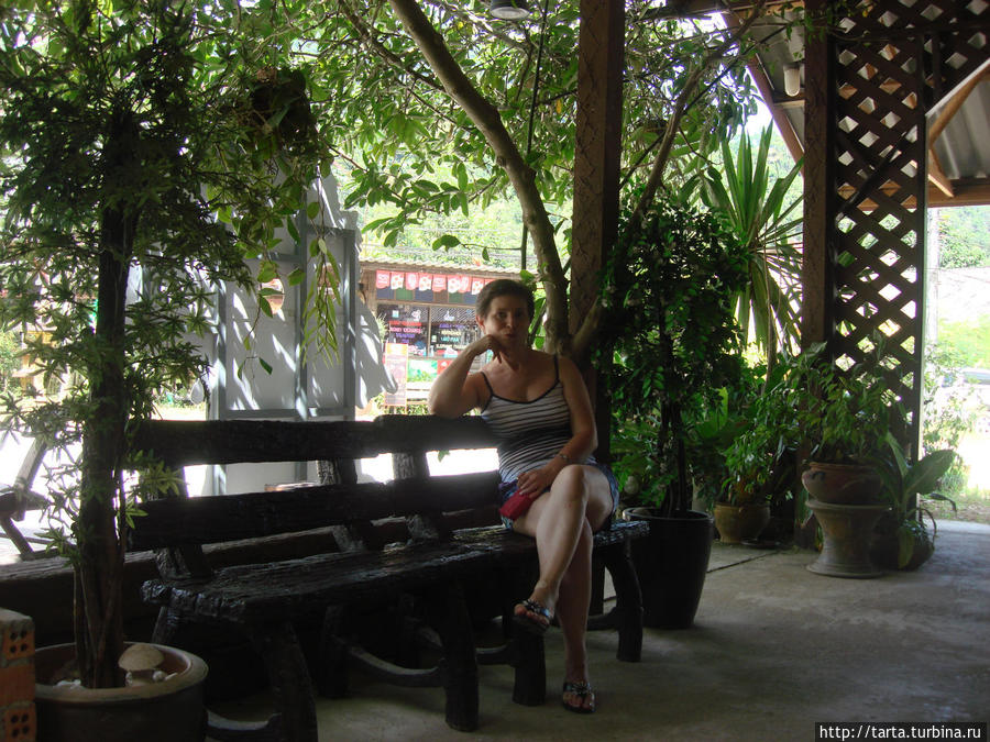 Посидеть в тени после хорошего обеда одно удовольствие. Кхао-Сок Национальный Парк, Таиланд
