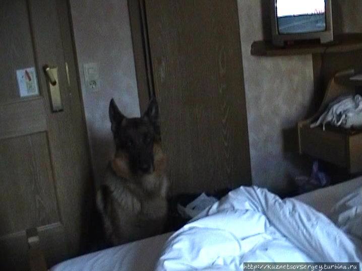 Обершлайсхайм — пригород Мюнхена Обершлайсхайм, Германия