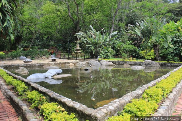 День Рождения в ботаническом саду Букараманга, Колумбия