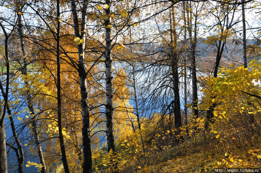 Осень. Клязьма Королёв, Россия