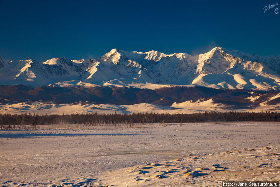 23 января
Курайская степь, Северо-Чуйский хребет
-32 Республика Алтай, Россия