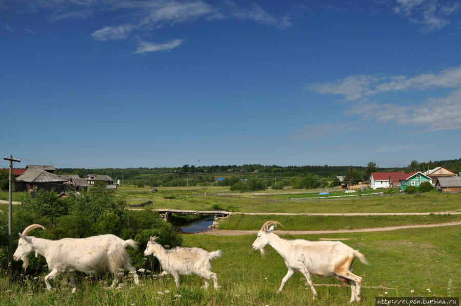 Тиманова Гора Вологодская область, Россия