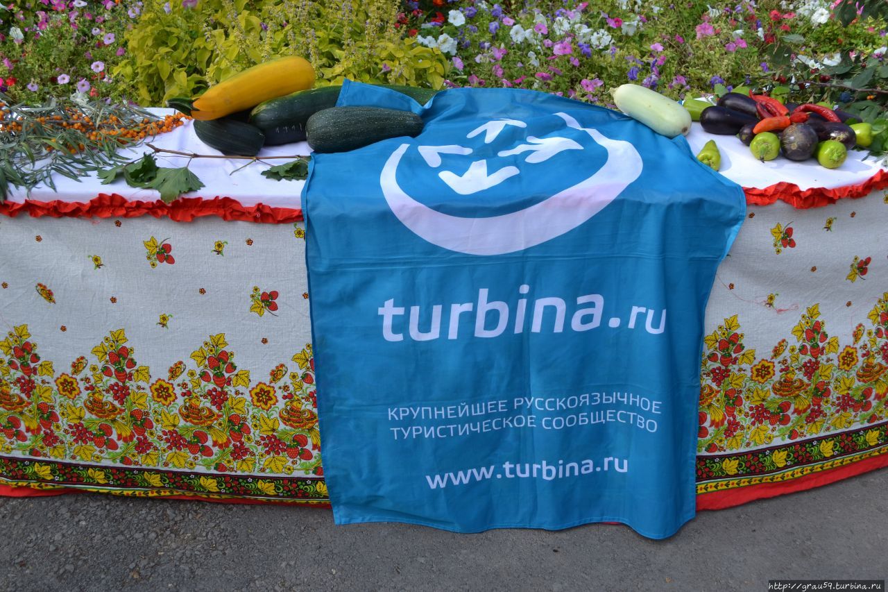 Оазис зелени возле степной реки Александров-Гай, Россия