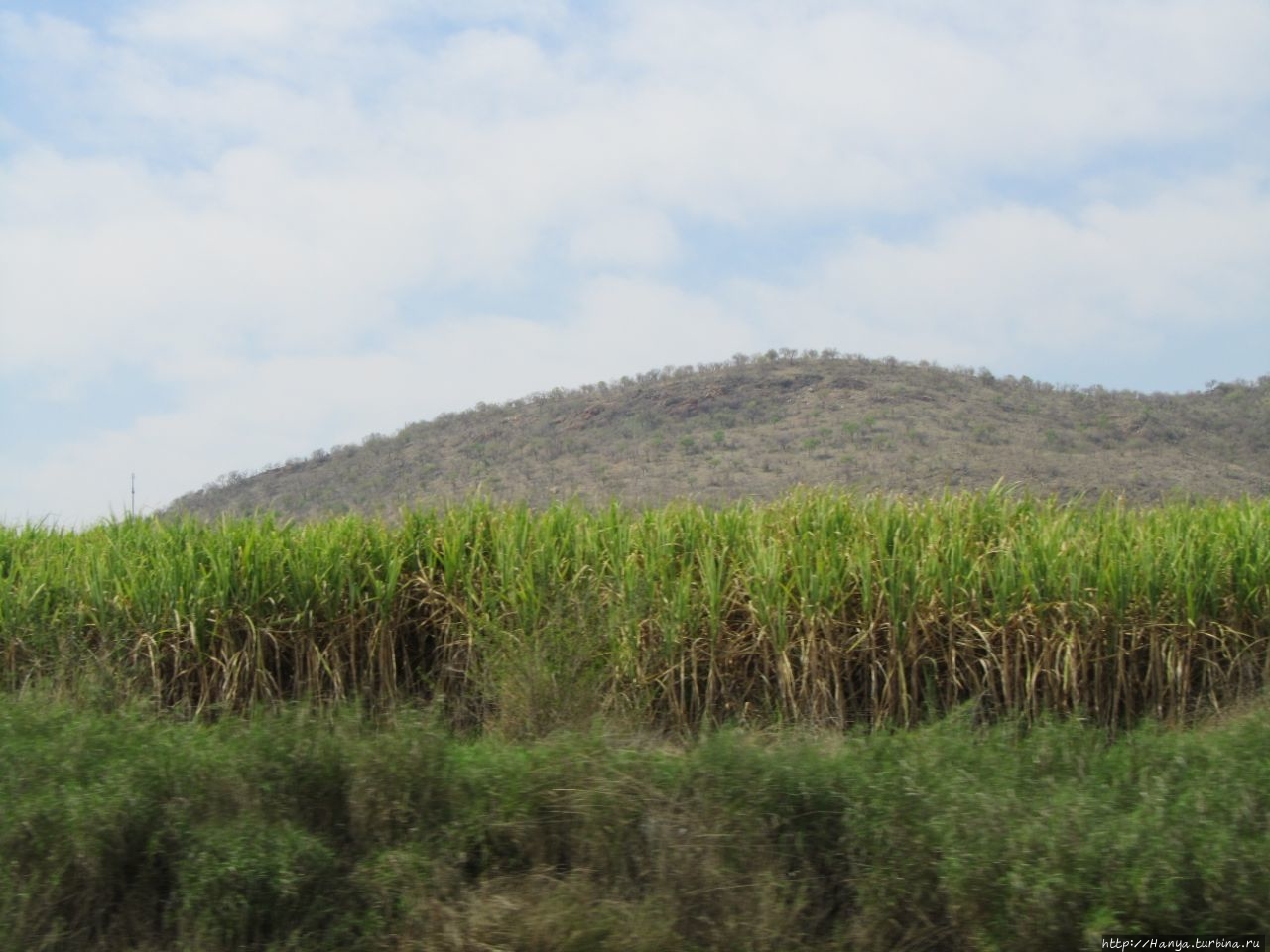 Дорога на Свазиленд. Ч. 12 Хейзивью, ЮАР
