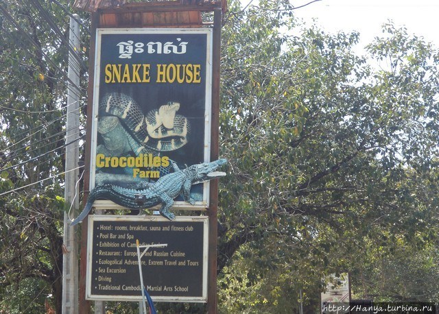 Ресторан Snake House Сиануквиль, Камбоджа