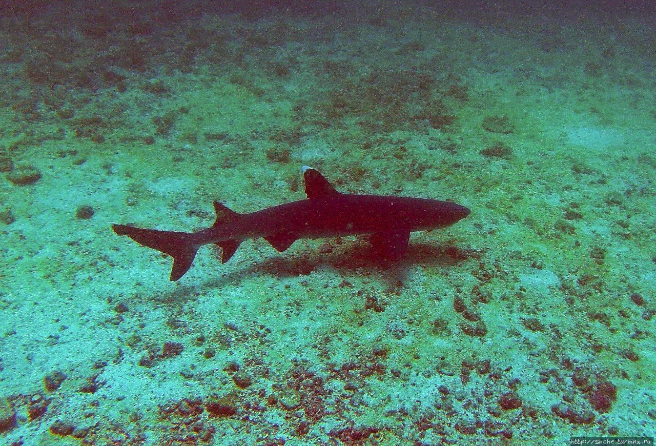 Нац. парк Коиба / Coiba National Park