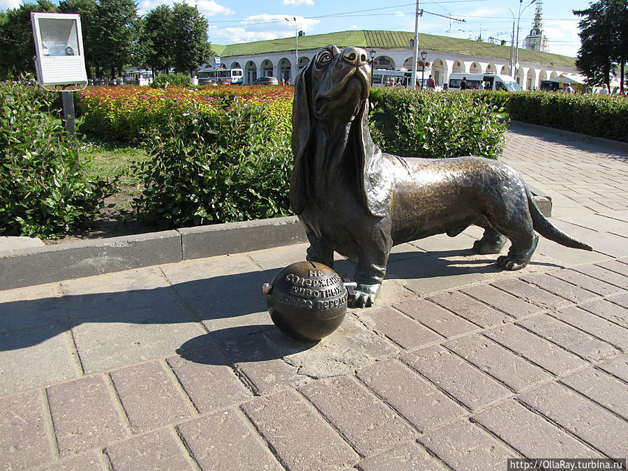 Памятник собаке Кострома, Россия