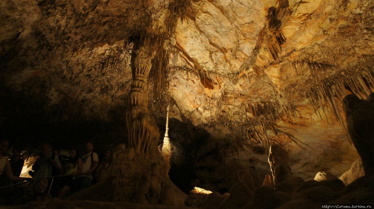 Пещеры Дракона (Cuevas Drach)