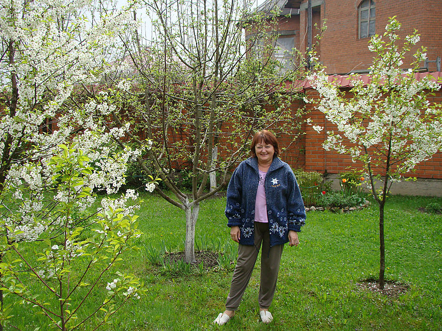 Моя сакура Москва, Россия