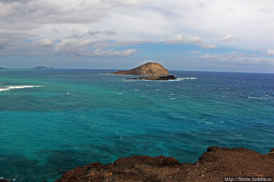 На эту точку Makapuu Point State Wayside собираются десятки людей наблюдать китов, конечно, когда они есть