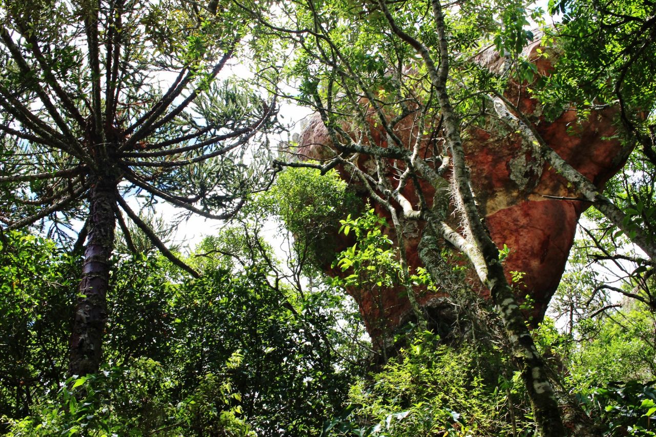 Арениты Вила-Велья Природный Парк Штата, Бразилия
