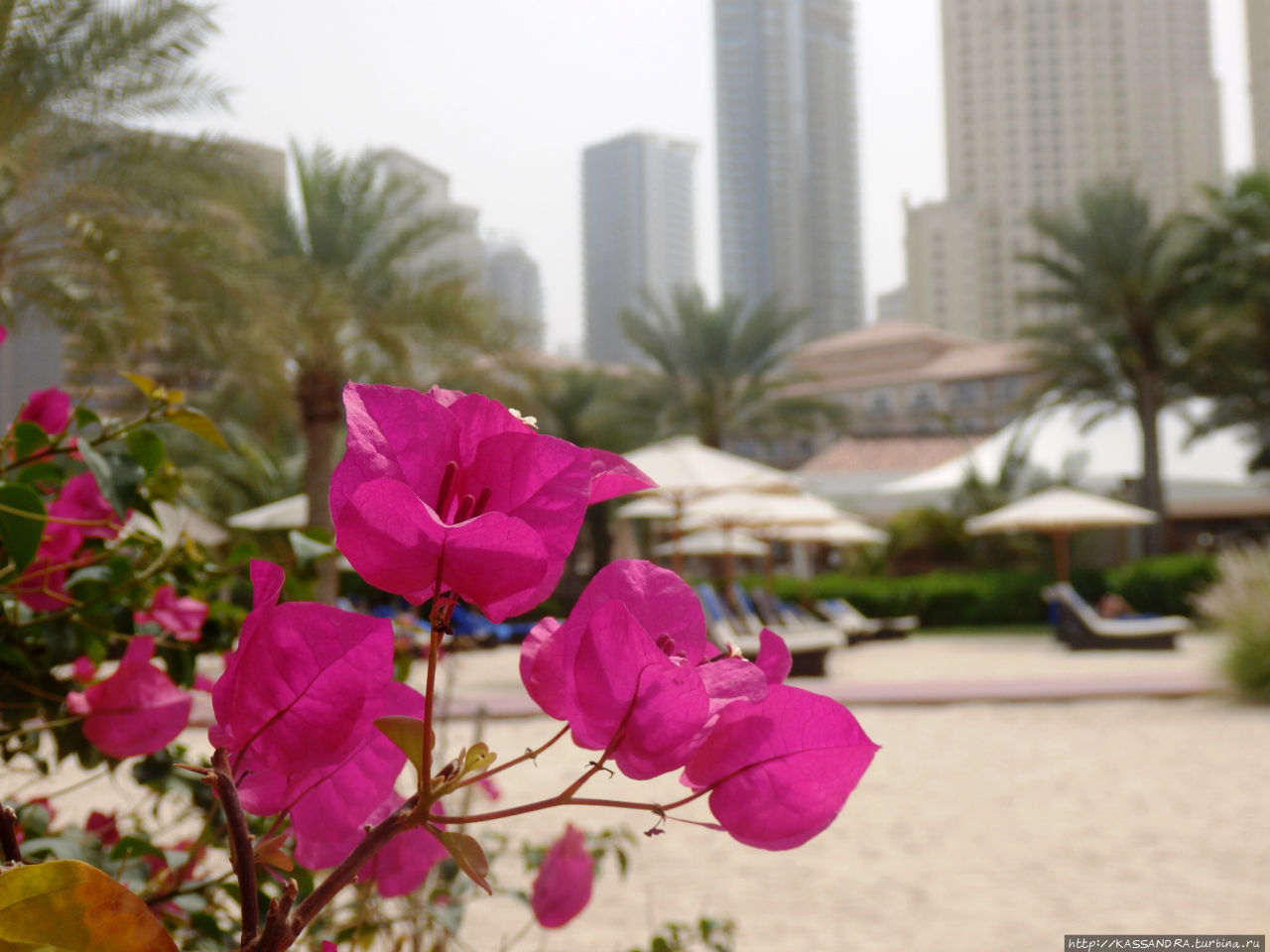 В панаме на арабском берегу Дубай, ОАЭ