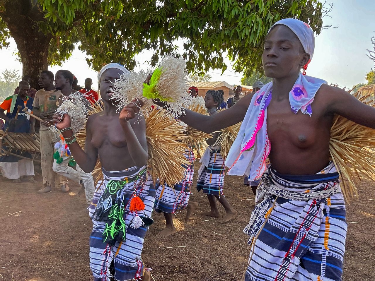 The dance of virgin girls of Sinufo tribe Кунуман, Кот-д'Ивуар