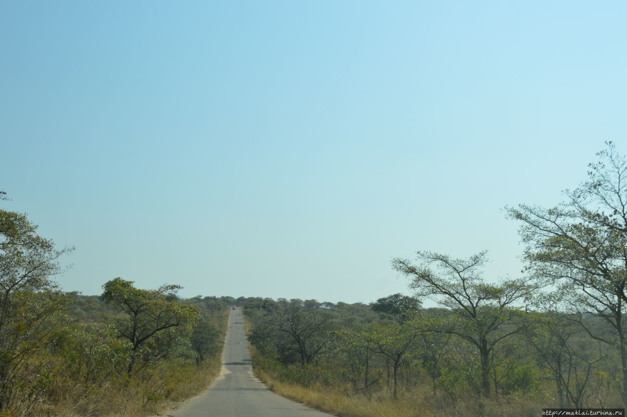 ЮАР. Национальный парк Крюгера. Ожидания и реальность
