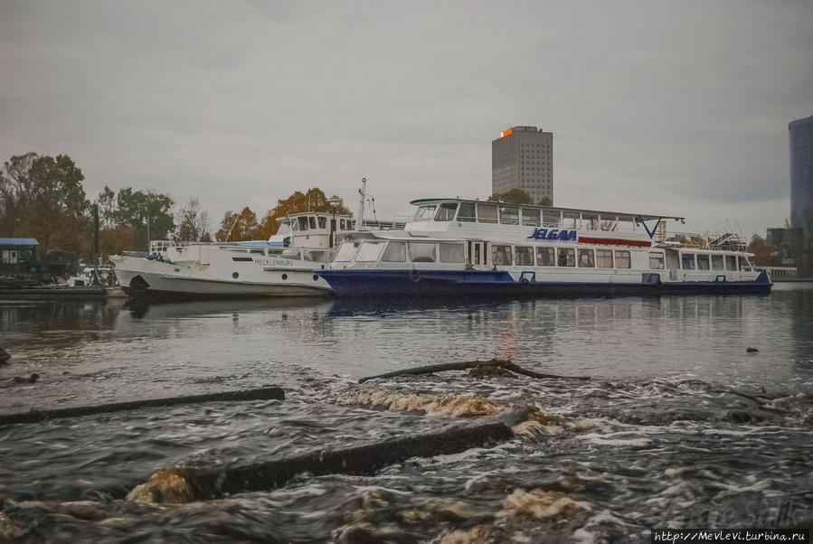 Наблюдение за водичкой в Агеннскалнском заливе