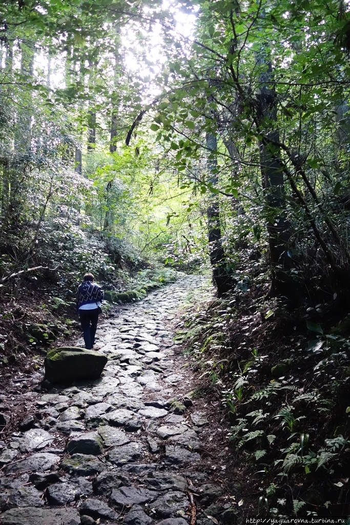 Застава самураев Hakone Sekisho Хаконэ, Япония