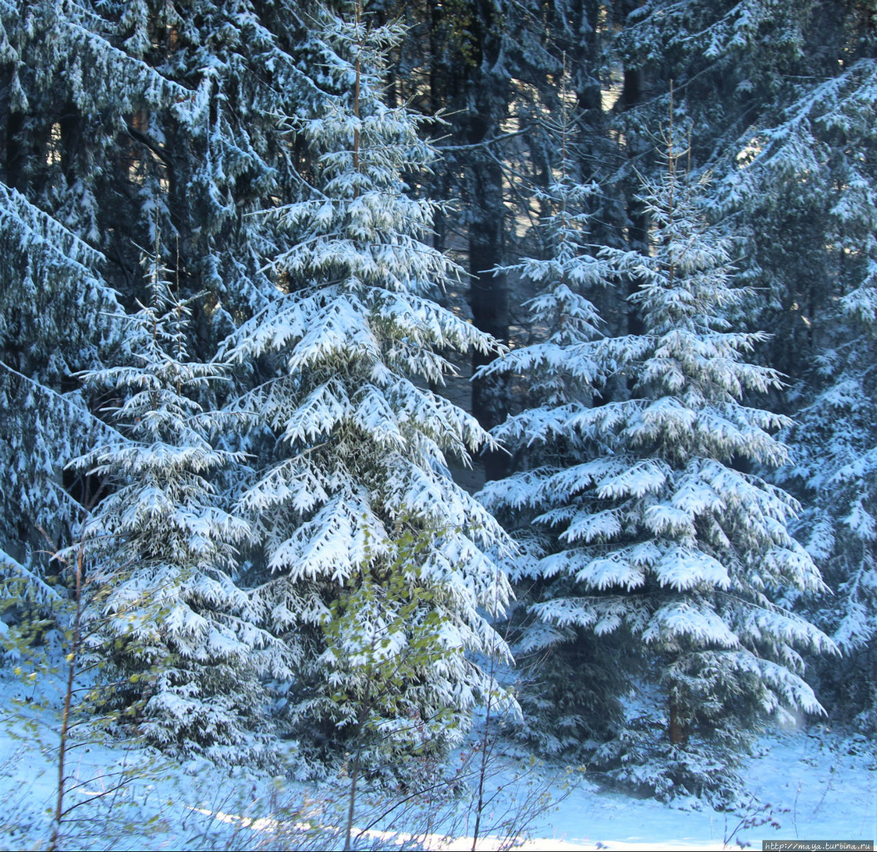 Город за облаками. Предял, Румыния