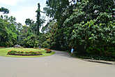 г. Канди, Ботанический сад