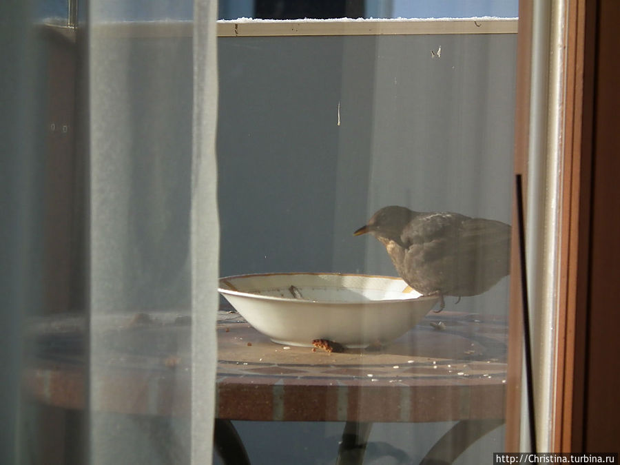 Суббота под знаком ОМ