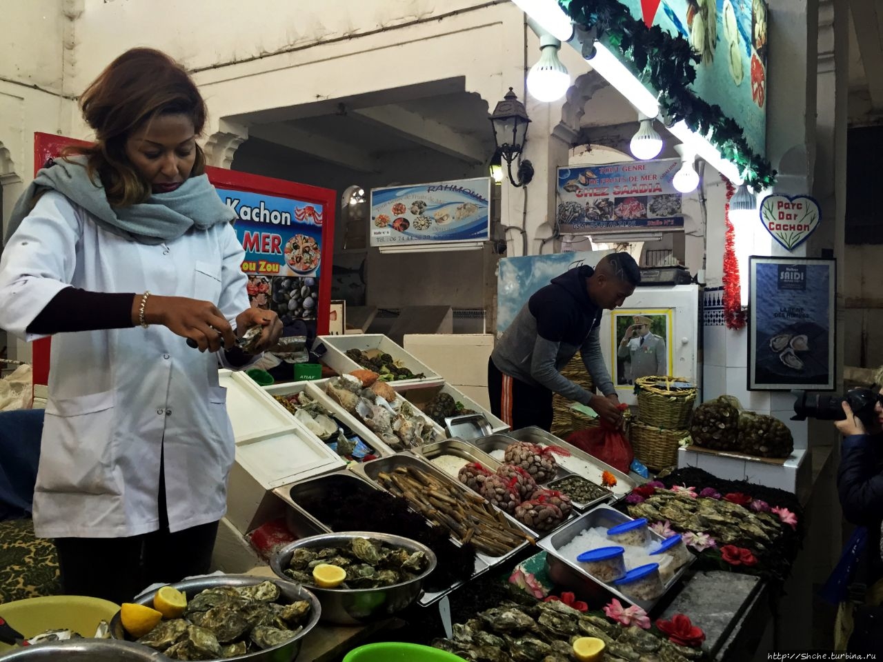 Устрицы в Касабланке — лучшее, что мне удавалось пробовать Касабланка, Марокко