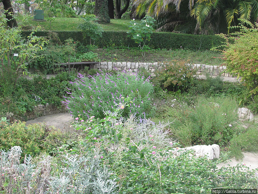 Умиротворение.