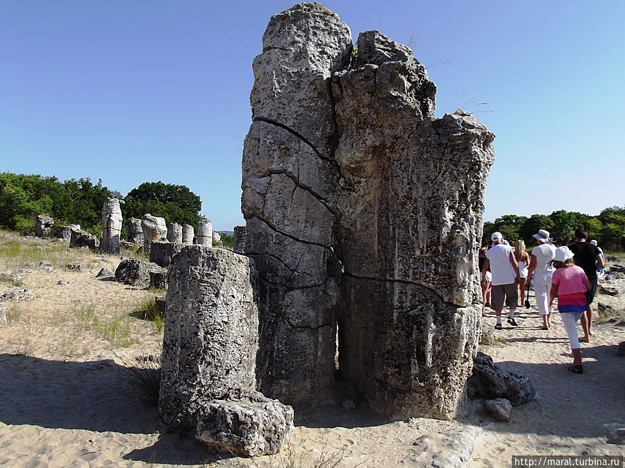 Семья Варненская область, Болгария