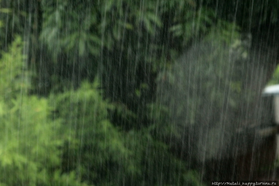 Эти летние дожди... Реюньон