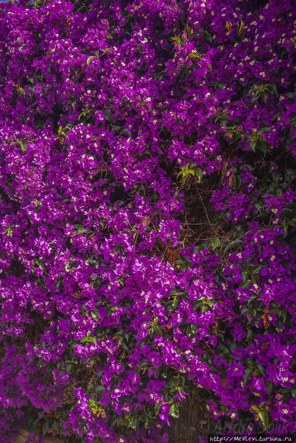 Пляжи Ситжеса Ситжес, Испания