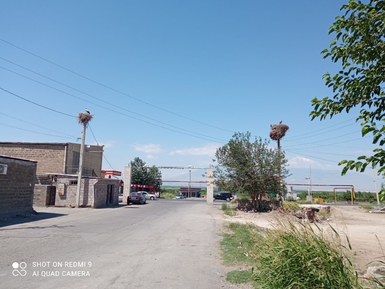 «Аист на крыше – мир на земле!» Суренаван, Армения