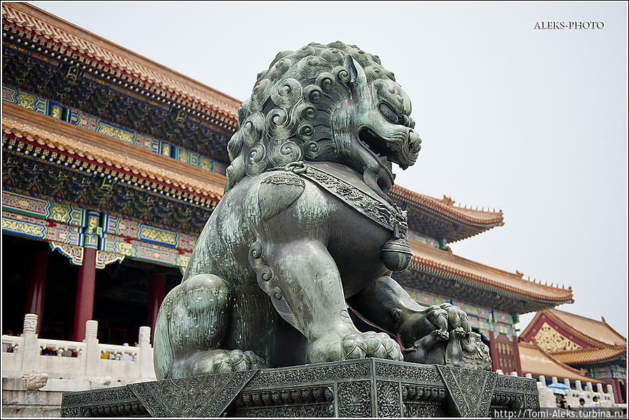 Скульптуру царственного льва мы увидим еще во многих местах...
* Пекин, Китай