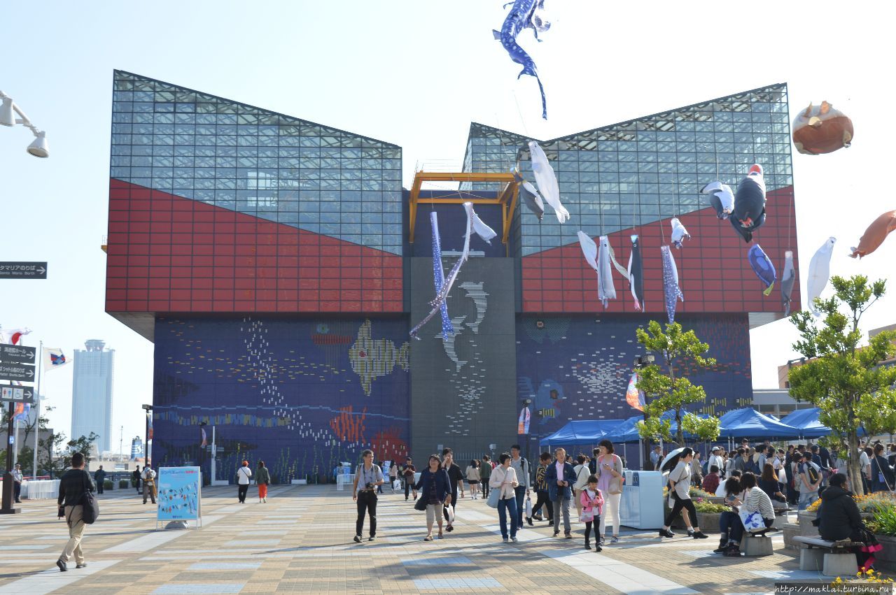 Океанариум Кайюкан