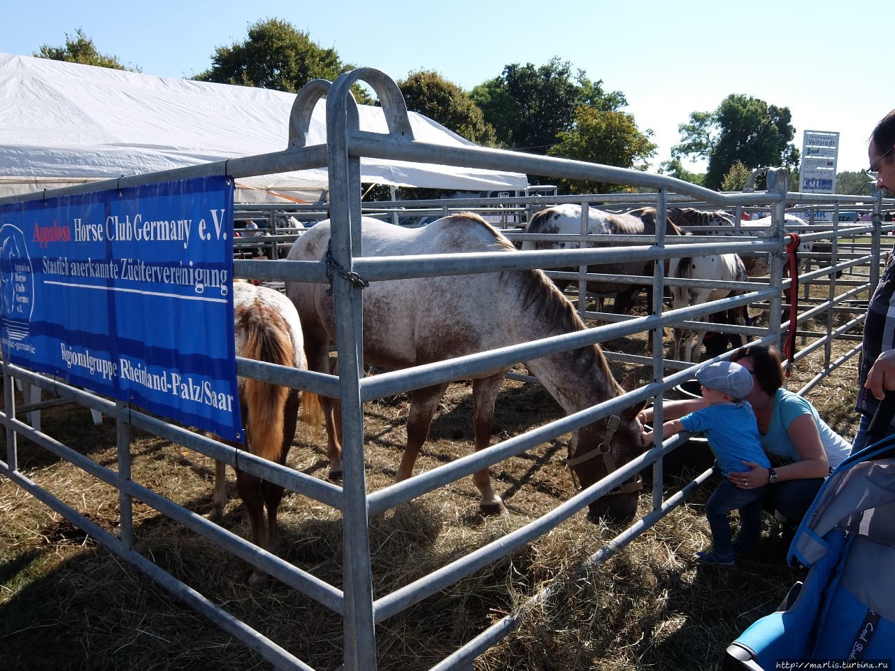 Баба з возу — кобыле легше Фишбах, Германия