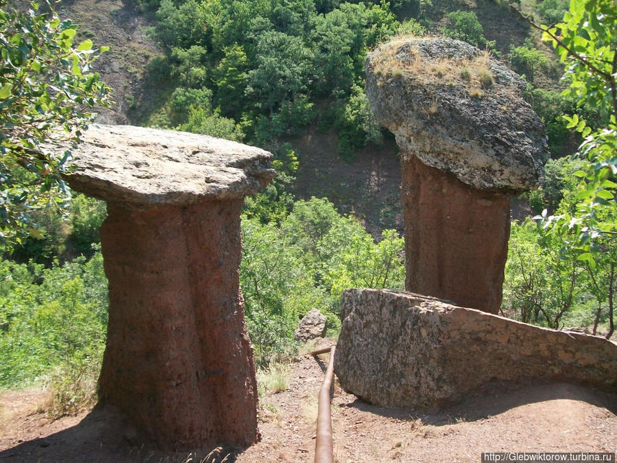 Прогулка по балке Сотера Солнечногорское, Россия