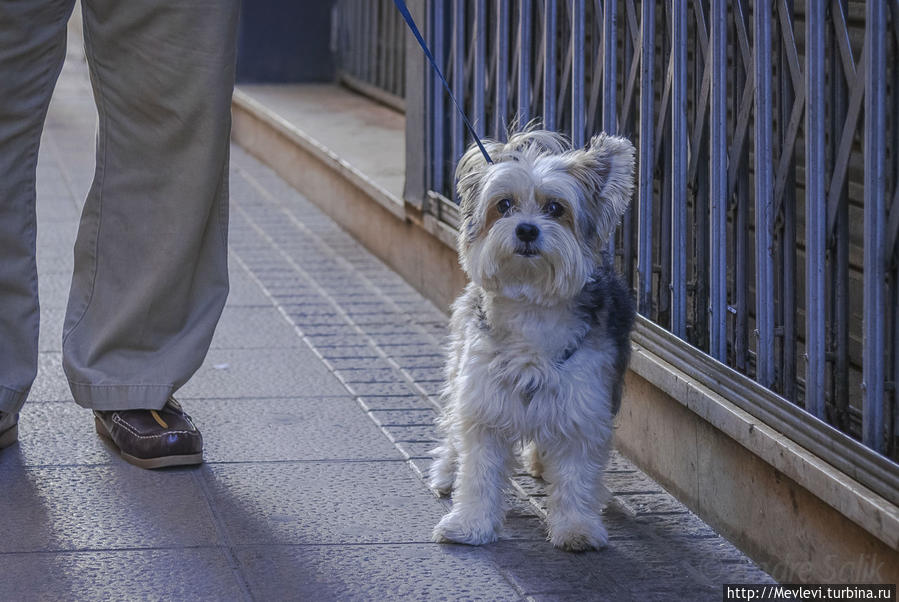 Неспешная прогулка. Вечерний Ситжес Ситжес, Испания